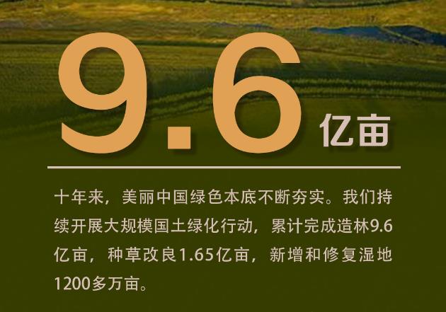 造林9.6億畝！十年來美麗中國綠色本底不斷夯實