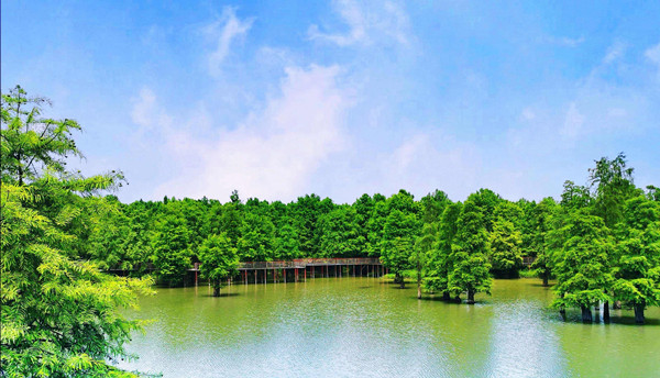 擔(dān)當(dāng)寫在青山綠水間——"最美自然守護(hù)者"群像掃描