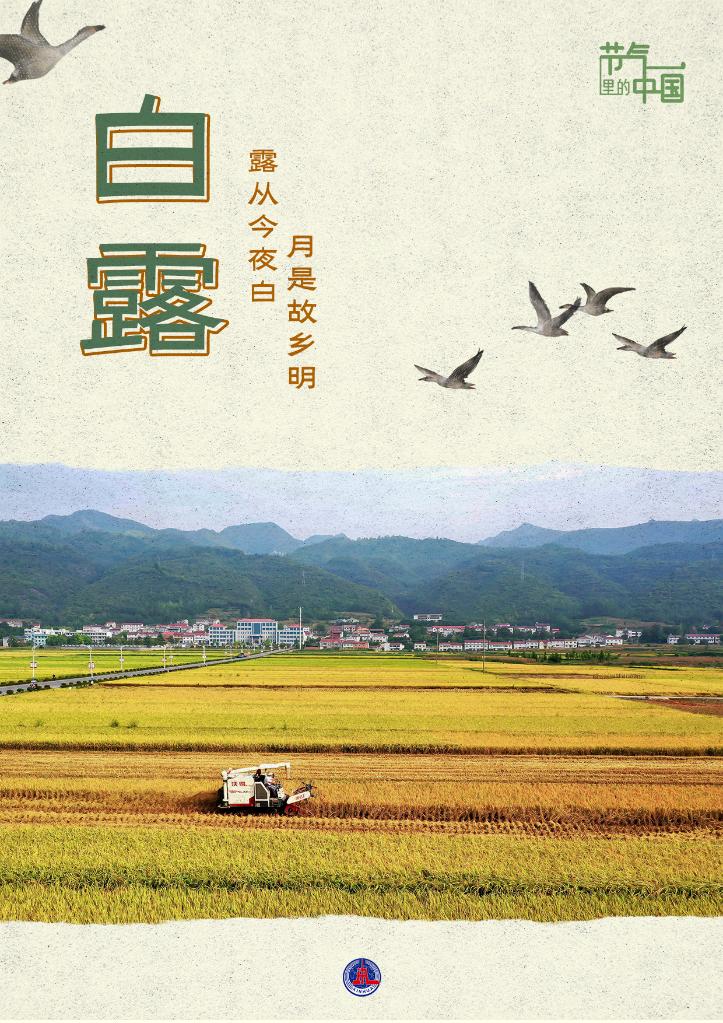 節(jié)氣里的中國(guó)丨白露：露華秋濃盼豐收