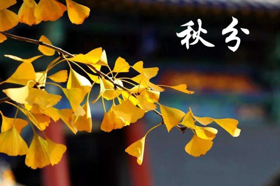 節(jié)氣里的中國丨秋分：品味收獲的美好