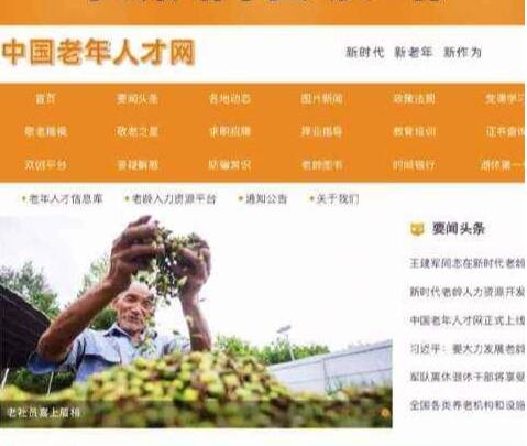 老年人才網(wǎng)上線，為“銀發(fā)族”再就業(yè)帶來希望