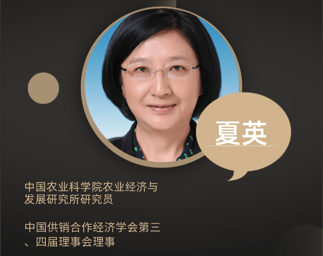 中國(guó)農(nóng)科院夏英：提高糧食收購(gòu)價(jià)，農(nóng)民會(huì)更愛(ài)惜土地
