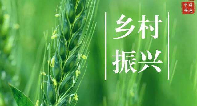 產銷服務平臺打通“田頭市場”——支付創(chuàng)新助鄉(xiāng)村振興