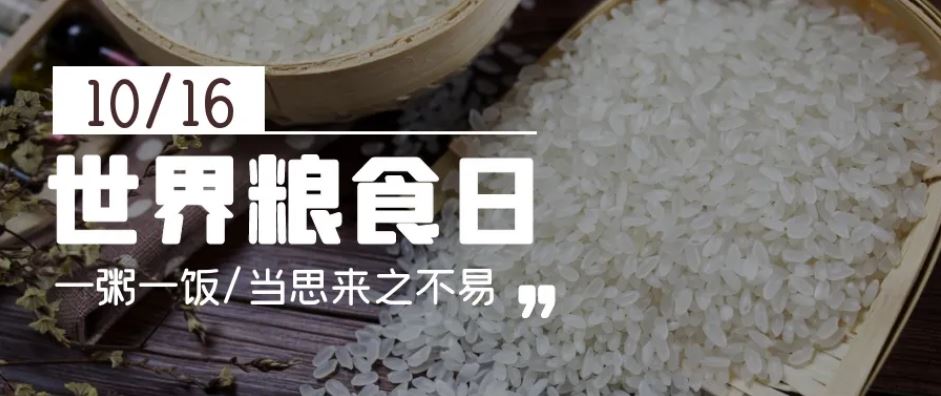 中國(guó)以實(shí)際行動(dòng)為維護(hù)世界糧食安全貢獻(xiàn)力量