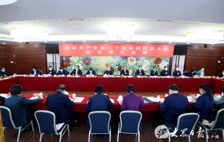 山東省代表團舉行分組會議