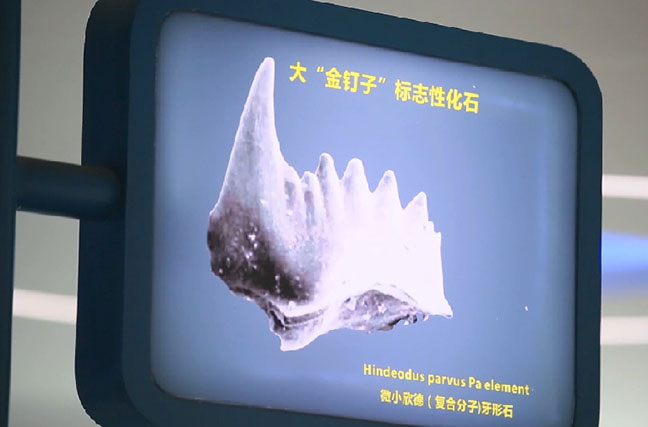 中國7個(gè)地質(zhì)遺跡入選全球首批地質(zhì)遺產(chǎn)地名錄