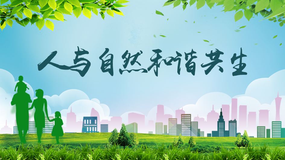 描繪人與自然和諧共生的美麗畫卷（國(guó)際社會(huì)看中國(guó)這十年）