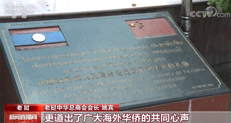 海外中華兒女：踔厲奮發(fā) 推進(jìn)文化自信自強(qiáng)