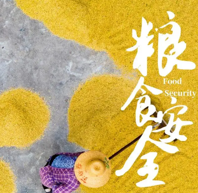 2022年全國糧食安全宣傳周啟動(dòng)