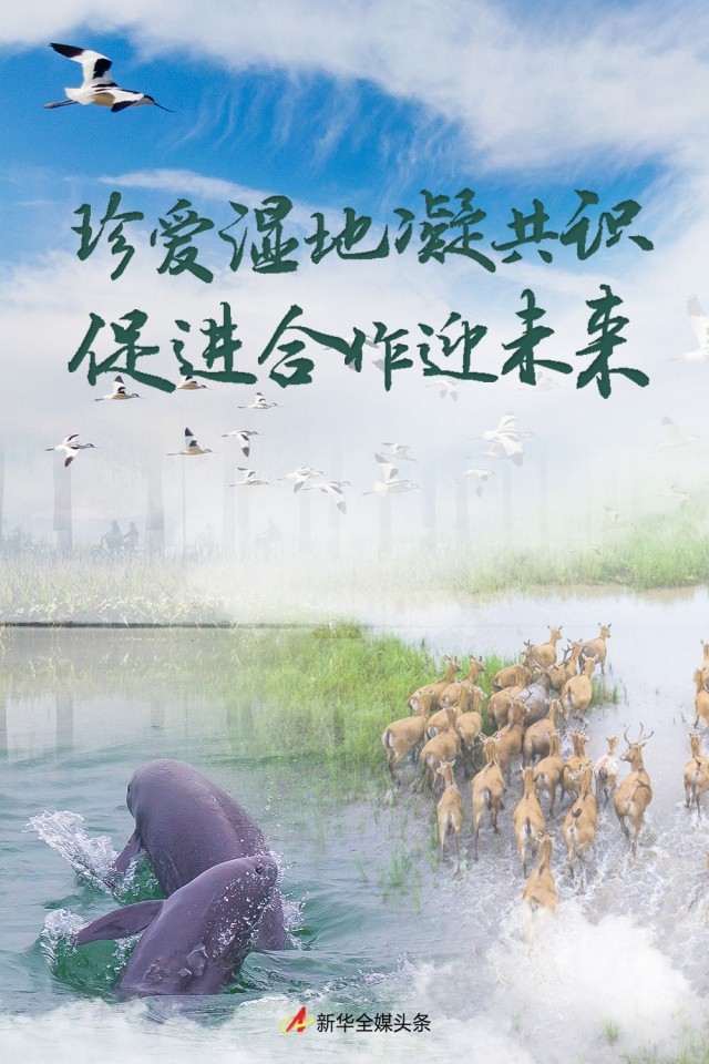 珍愛濕地凝共識(shí) 促進(jìn)合作迎未來——寫在《濕地公約》第十四屆締約方大會(huì)舉辦之際