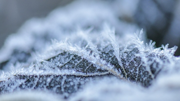11月22日迎“小雪”節(jié)氣