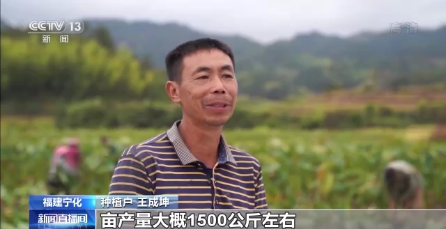 直播間開進(jìn)果園！全國(guó)秋糧收獲近尾聲 各地多舉措助農(nóng)增收