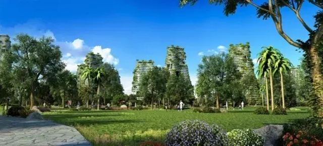 新一批國家森林城市名單公布 總數(shù)增至219個