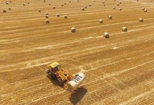 糧食豐、能源穩(wěn)——今年以來我國(guó)強(qiáng)化糧食安全保障、提升能源保供能力觀察
