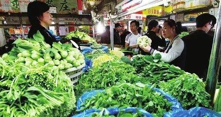 破梗阻補(bǔ)鏈條，多方聯(lián)動(dòng)打響“蔬菜促銷戰(zhàn)”
