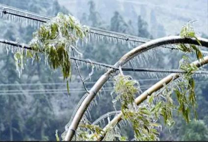 12月我國(guó)南北多地存在低溫雨雪冰凍災(zāi)害風(fēng)險(xiǎn)