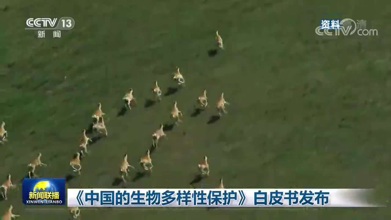 最高法發(fā)布《中國生物多樣性司法保護》報告