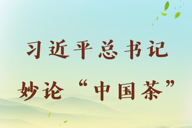 第一觀察 | 習(xí)近平總書記妙論“中國(guó)茶”