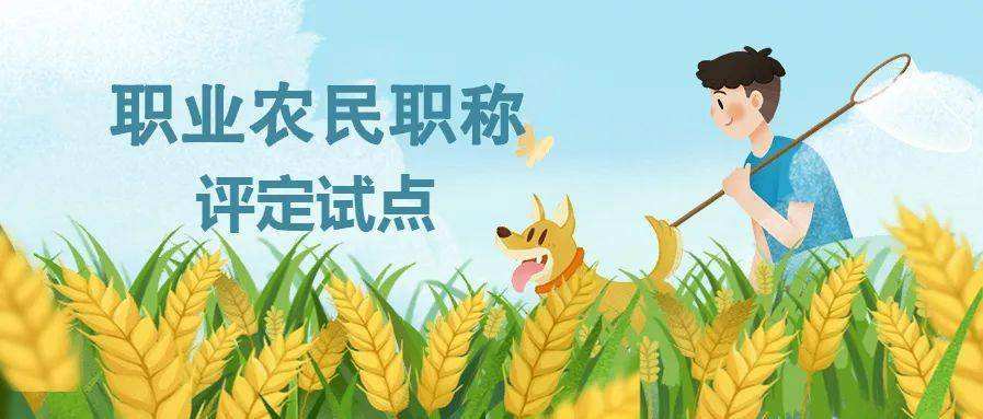 種地還能評(píng)職稱？多地試水職業(yè)農(nóng)民職稱評(píng)定
