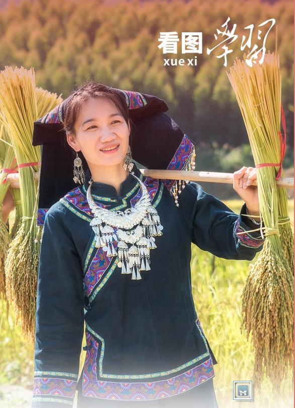 看圖學(xué)習(xí)·語短情長丨中華民族是個大家庭