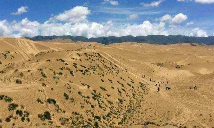 中國荒漠化沙化土地面積持續(xù)減少