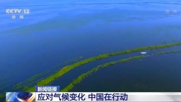 中國積極應(yīng)對氣候變化