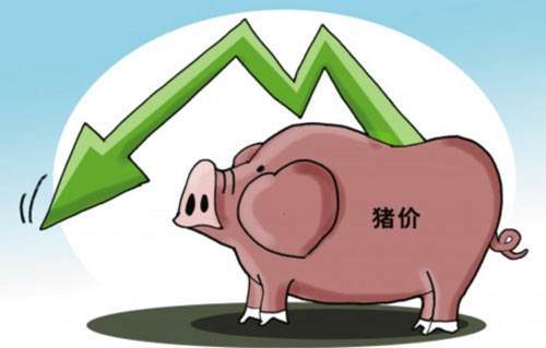 豬價短期內(nèi)仍將低位震蕩