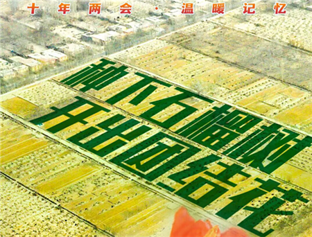 十年兩會(huì)·溫暖記憶丨“種下石榴樹，開出團(tuán)結(jié)花”