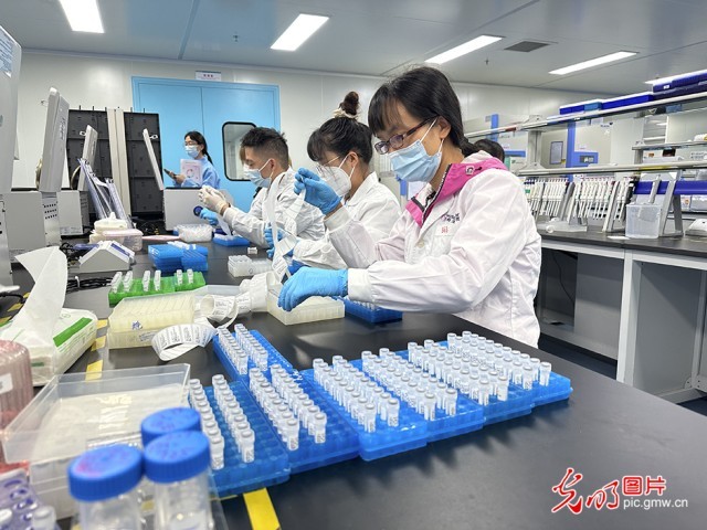 【高質量發(fā)展看中國】基因遞送排頭兵 可實現“個性化”定制