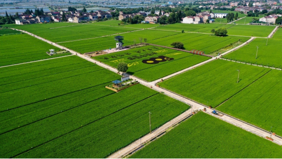 國家發(fā)展改革委等部門要求做好2023年春耕化肥保供穩(wěn)價工作
