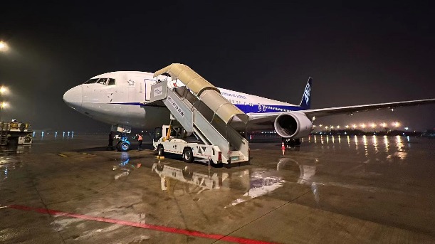旅日大熊貓“永明”及雙胞胎女兒飛抵成都