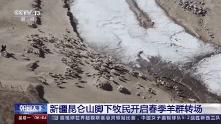 新疆昆侖山腳下牧民開啟春季羊群轉(zhuǎn)場