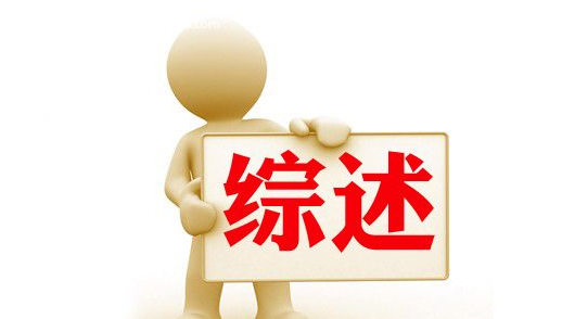 以數(shù)字變革推進(jìn)教育強(qiáng)國(guó)建設(shè)——我國(guó)教育數(shù)字化工作取得積極成效綜述