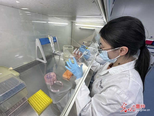 【高質量發(fā)展看中國】基因遞送排頭兵 可實現“個性化”定制