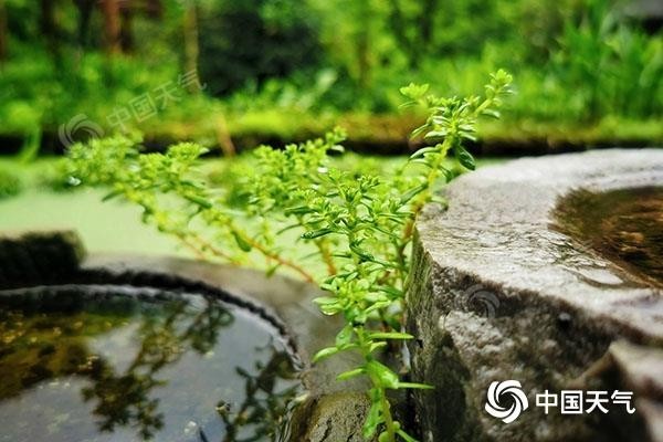 未來(lái)三天我國(guó)西部地區(qū)新一輪降水發(fā)展 中東部氣溫起伏波動(dòng)大