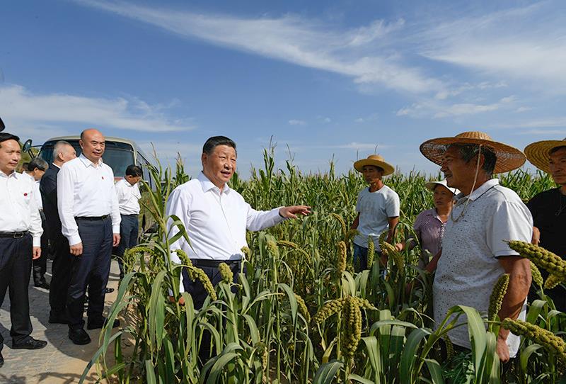時政特稿丨總書記的“大食物觀”