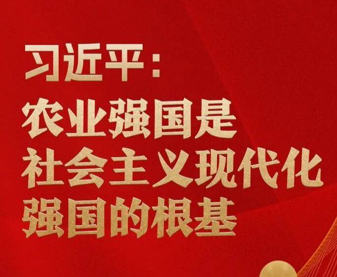 習(xí)近平：農(nóng)業(yè)強(qiáng)國(guó)是社會(huì)主義現(xiàn)代化強(qiáng)國(guó)的根基
