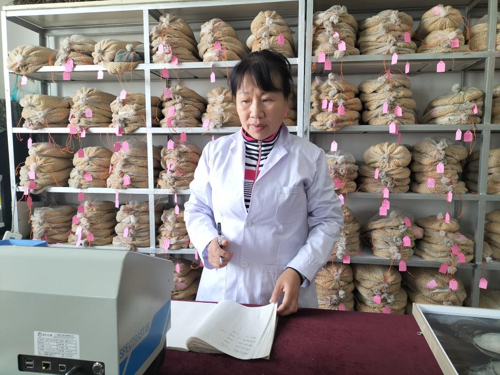 新時(shí)代新征程新偉業(yè)·全國(guó)兩會(huì)精神看落實(shí)｜黑龍江：為“中國(guó)飯碗”備好更多優(yōu)質(zhì)糧
