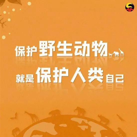 公安機(jī)關(guān)開展專項(xiàng)行動(dòng)：保護(hù)野生動(dòng)物，守護(hù)多樣之美