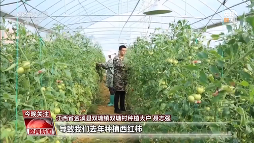 科技賦能“菜籃子” 各地品春鮮 嘗春意