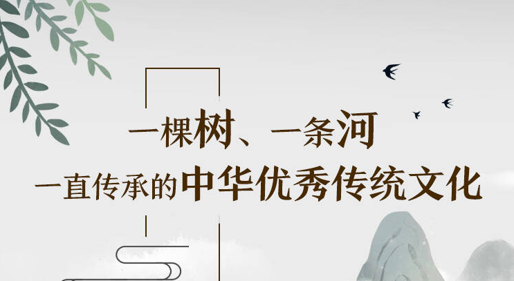 漫漫說(shuō) | 一棵樹(shù)，一條河，一直傳承的中華優(yōu)秀傳統(tǒng)文化