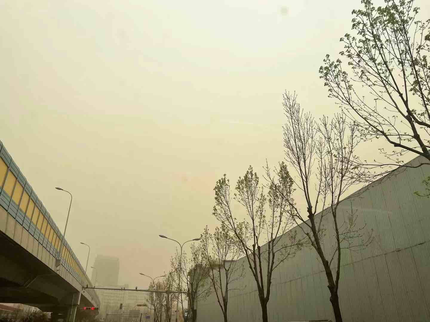 山東繼續(xù)發(fā)布沙塵暴黃色預警 濟南等8市仍有浮塵
