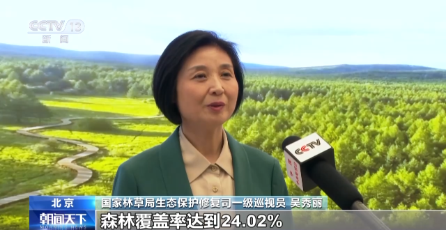 國際森林日丨我國成為全球森林資源增長最快最多國家