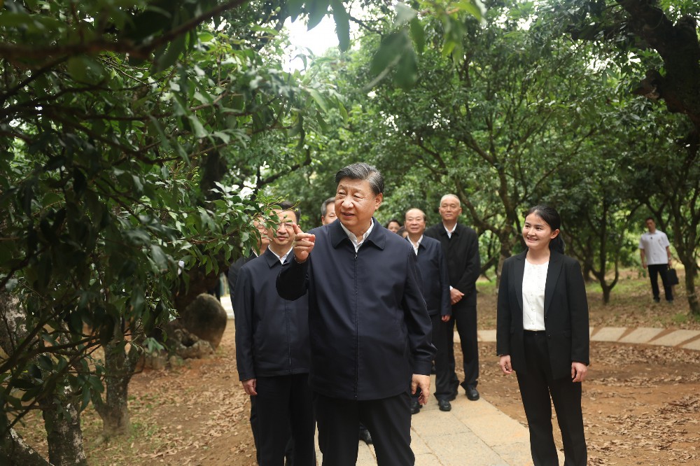 潮頭觀瀾丨六個(gè)故事，走進(jìn)中國(guó)“南大門”新時(shí)代答卷
