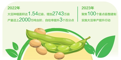 新數(shù)據(jù) 新看點丨科學播種讓"老把式"有了好收成