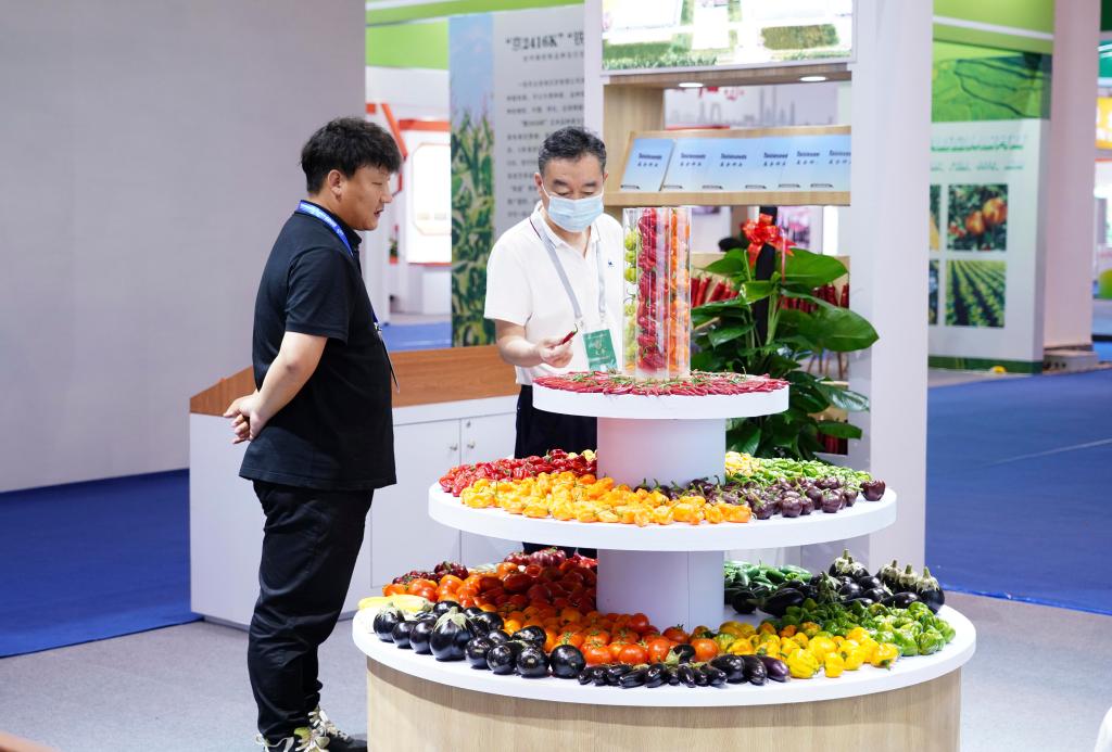 從2023中國種子大會透視種業(yè)振興新進(jìn)展