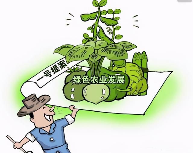 我國首個(gè)農(nóng)業(yè)農(nóng)村低碳發(fā)展報(bào)告發(fā)布