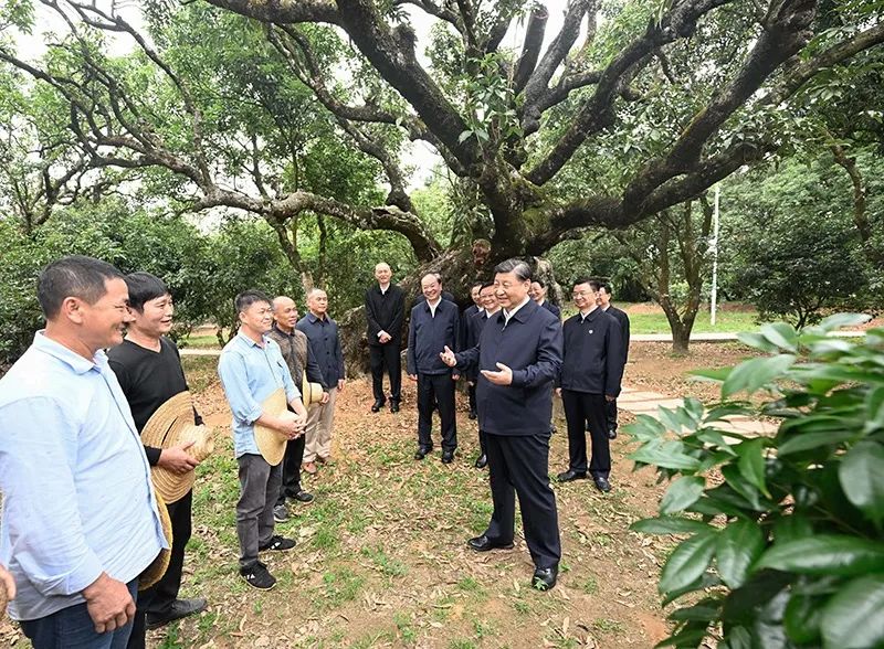習(xí)近平怎么選調(diào)研對象？｜跟總書記學(xué)調(diào)研④
