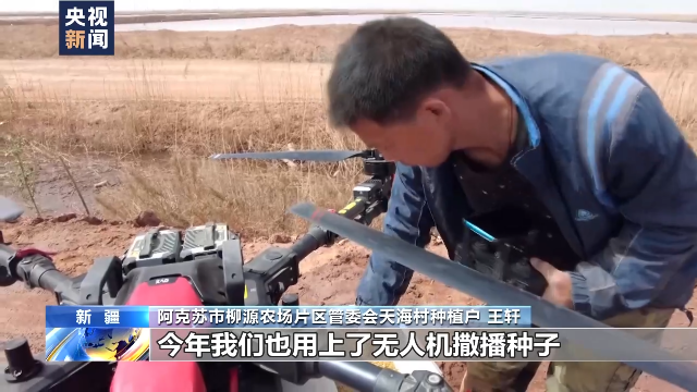 新疆阿克蘇推廣無人機飛播技術 助力水稻種植