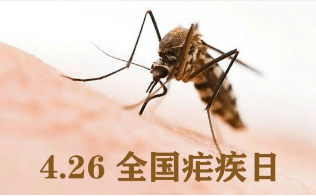 綜述：中國抗瘧力量和經(jīng)驗(yàn)惠及非洲